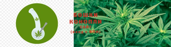 винт Дмитров