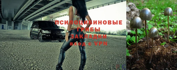 винт Дмитров